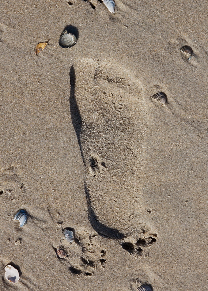 smėlio, paplūdimys, pėdsakas, pėdos, atostogų, šlapiame kelyje, vandens