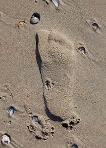 모래, 비치, 발자국, 발, 휴일, 젖은, 물