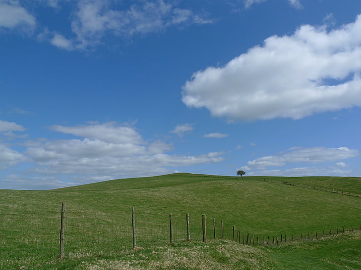 landscape, fence, sky, green, field, countryside, rural