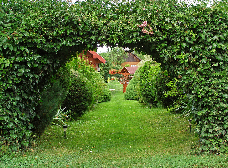 trädgård, grön, Gateway, gränd, lövverk, murgröna, ingången till trädgården