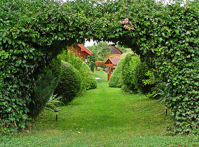 garden, green, gateway, alley, foliage, ivy, the entrance to the garden