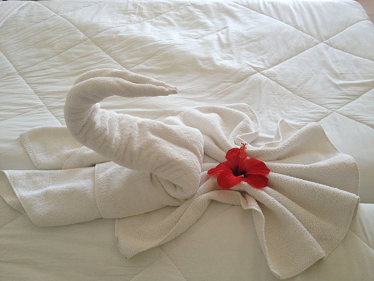 Cisne, toalha, flor, férias, Hotel, cama, Djerba
