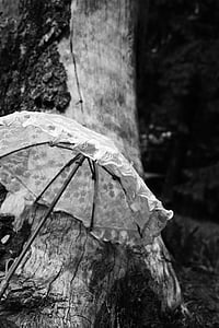 чадър, чадър, лято, слънце