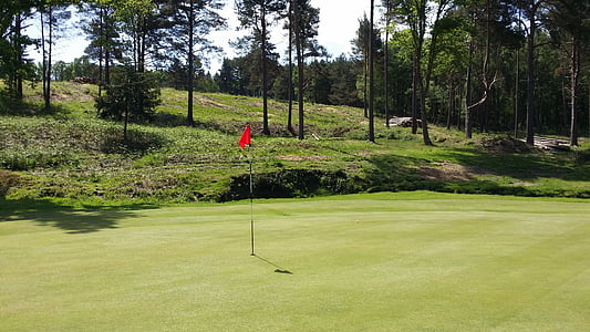 golf, green, grass, landscape, outdoor, summer, golfing