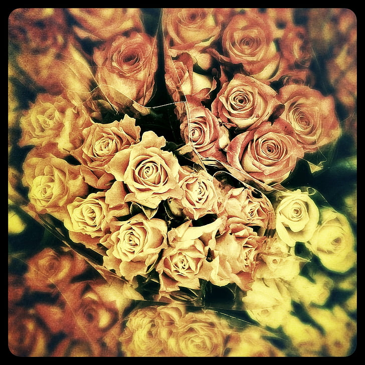 rožės, gėlės, gėlė, Valentino diena