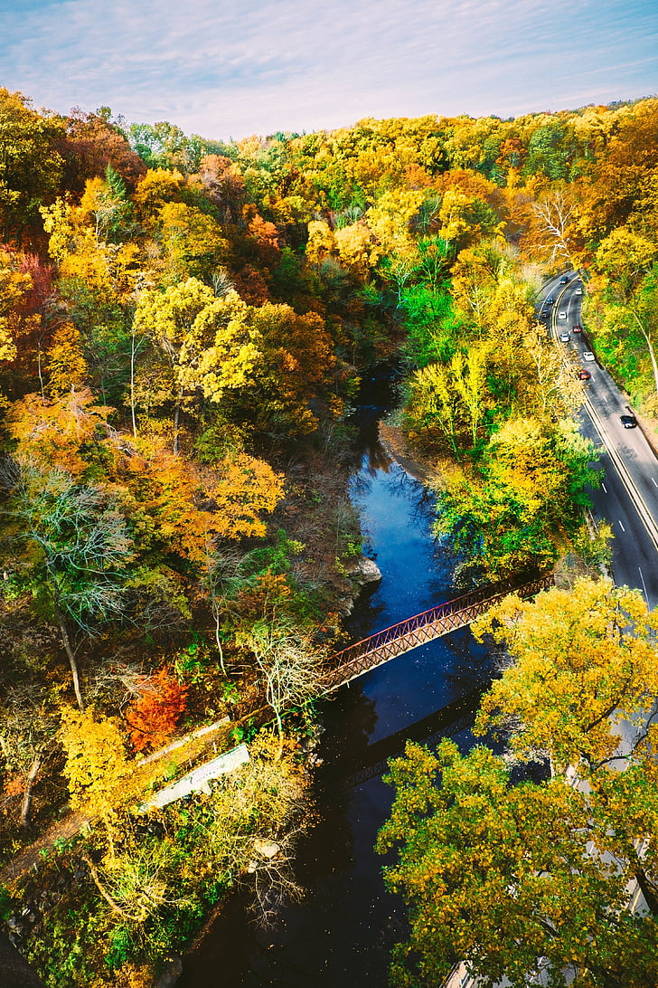 bridge, river, forest, trees, autumn, pedestrian, highway