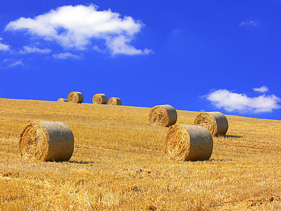 straw bales, straw, harvested, stubble, summer, yellow