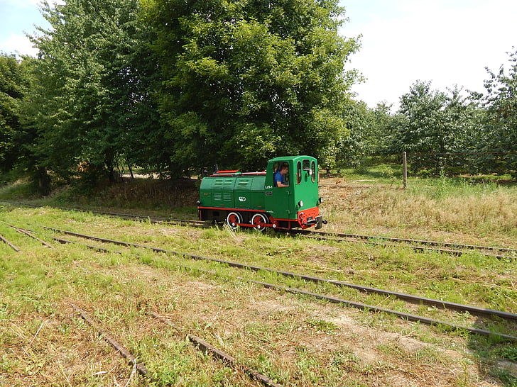 вузькоколійна залізниця, поїзд, локомотива, історичний транспортного засобу, Рейки, Вагони