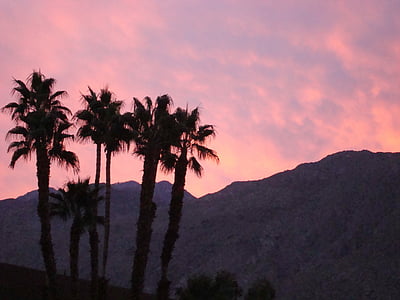 Palm springs, California, vuoret, palmuja, Sunset, värikäs, pilvet