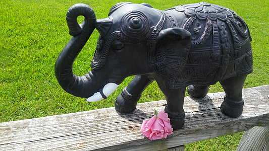 symbolic, elephant, pink rose, withering, elegant, ivory, balance