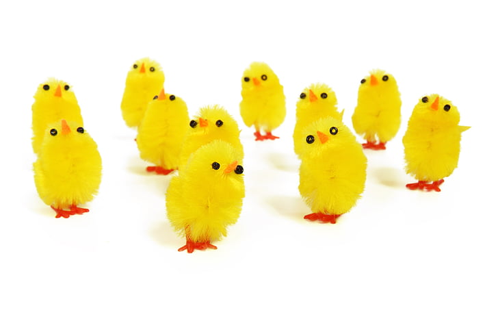 kyllinger, dyr, baby, fugl, Nuttet, påske, gul
