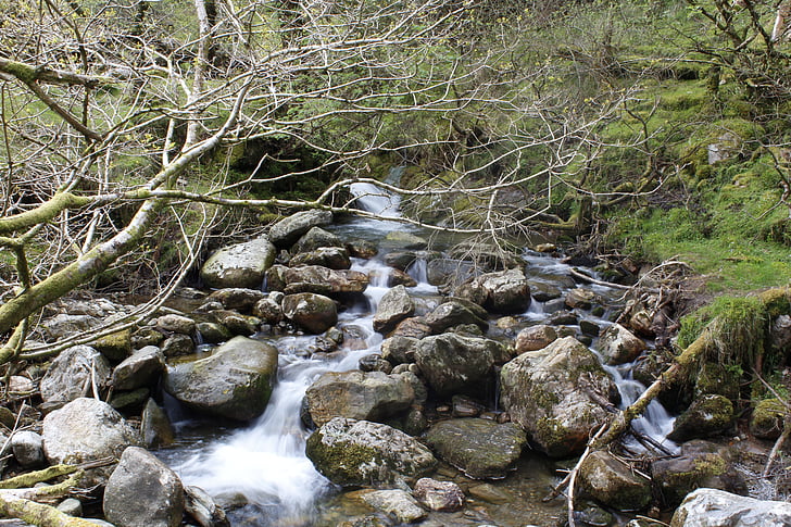 Ai Len, Wicklow, Glendalough, Thiên nhiên, Ai-Len, màu xanh lá cây, cảnh quan