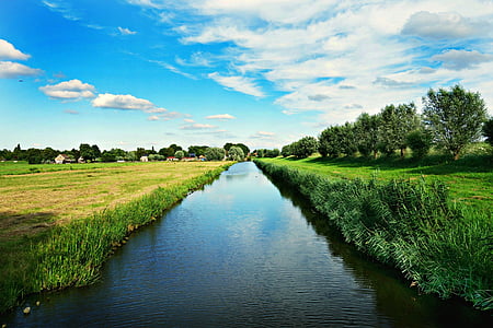 paysage hollandais, polder, prés, saules, campagne, rural