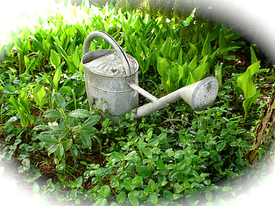Casting, irrigation, pot, décoration, feuille, bateau, jardinage