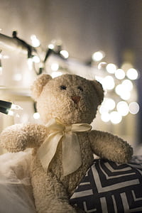 Spielzeug, Teddy bear, Plüsch-Maskottchen, kuschelige, Plüsch, Geschenke, das Maskottchen