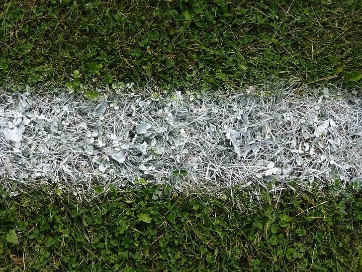 Farba, Linia, biały, Sport, trawa, rośliny, boisko do piłki nożnej