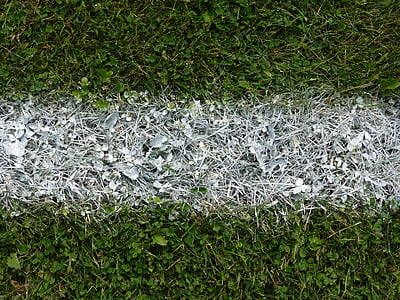 paint, line, white, sport, grass, plants, soccer field