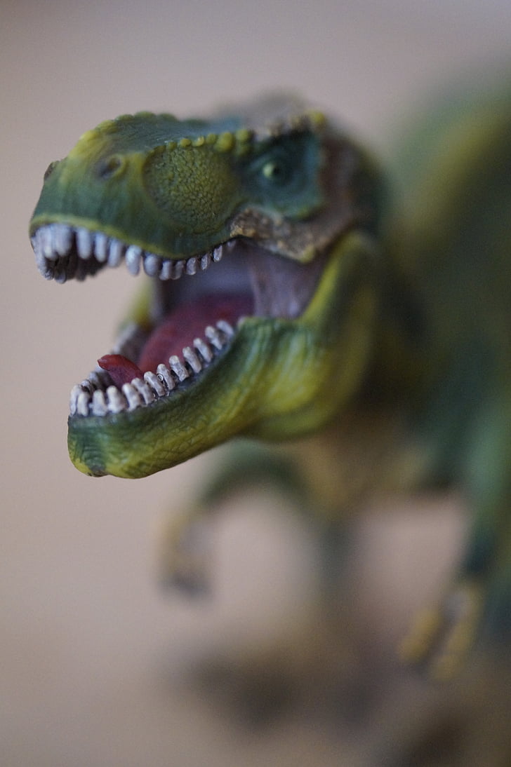 kaki, gigi, berbahaya, Tyrannosaurus rex, Predator, kepala, reptil