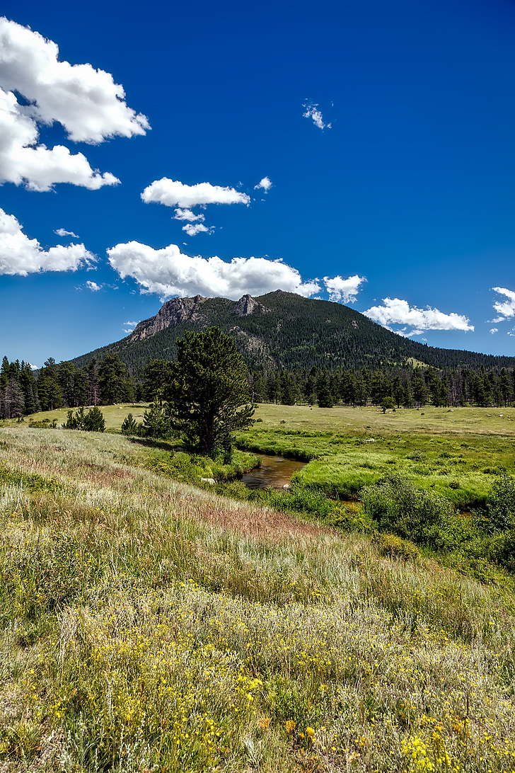 Colorado, Rocky mountains, national park, landskab, naturskønne, natur, udendørs