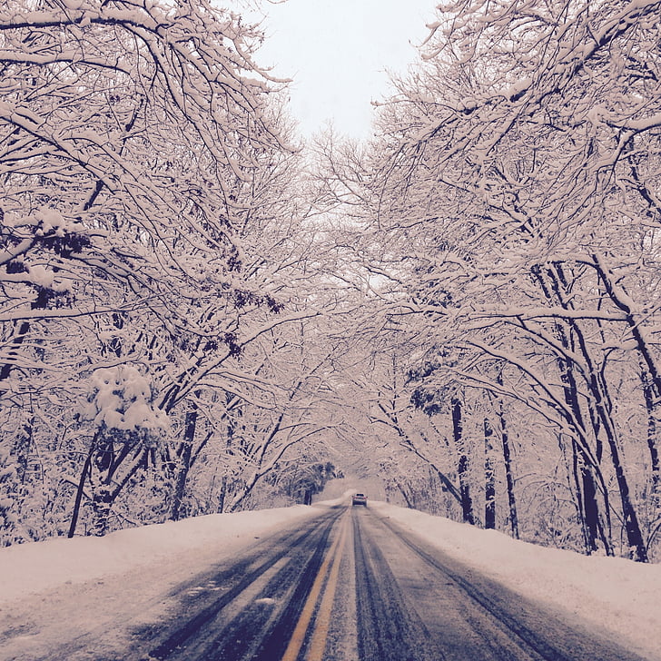 หิมะ, ฤดูหนาว, ขับรถ
