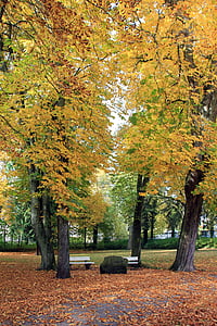 парк, дърво, Есен, листа, банка, камък, рок