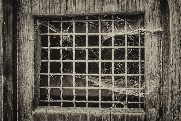 venster, raster, deur, spinnenweb, sfeer, oude, gevangenis