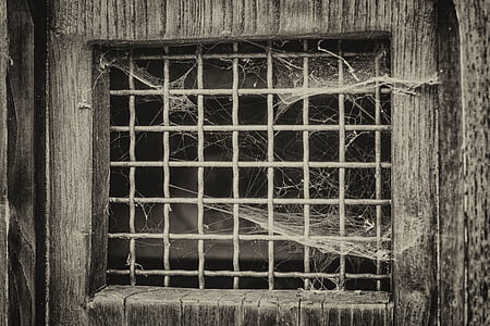 ablak, rács, ajtó, pók hálójában, légkör, régi, börtön