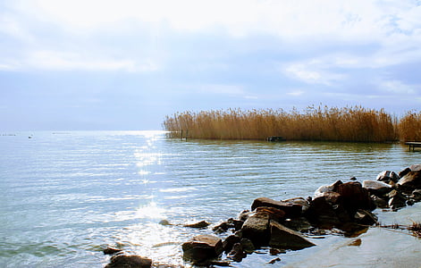 Lago balaton, superfície da água, Lago, dias., natureza, água, beira-mar