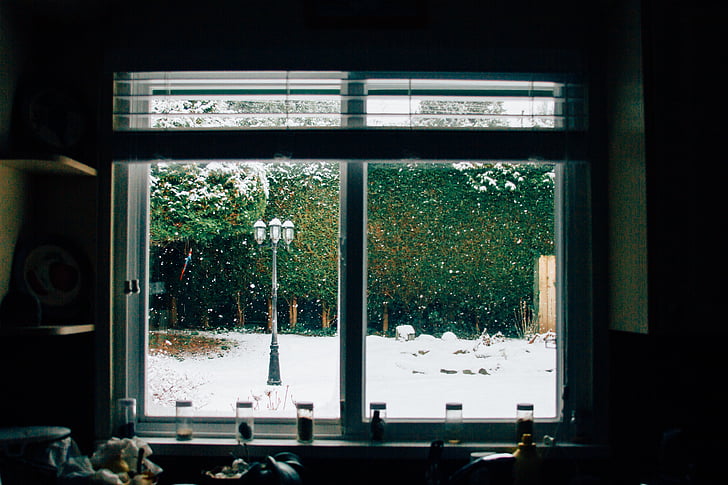 valkoinen, puu, kehystetty, lasi, suljettu, ikkuna, vihreä