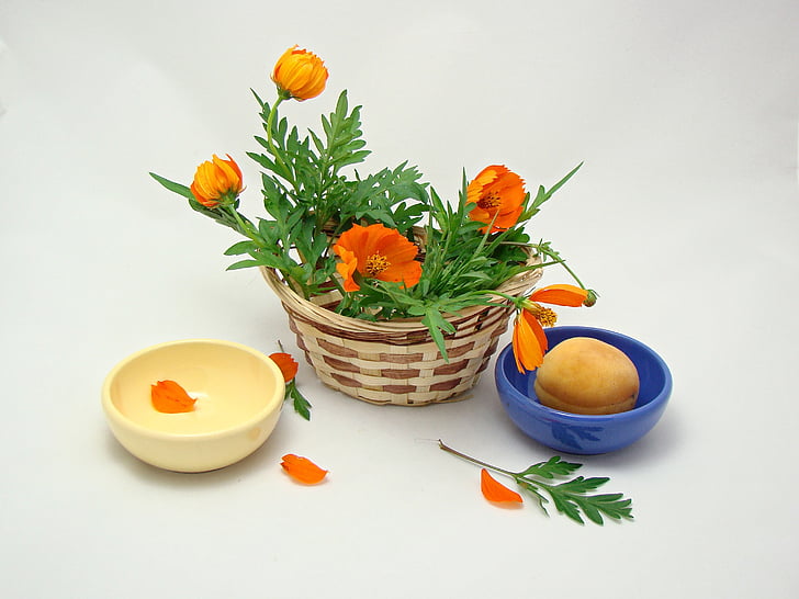 flowers, basket, green, orange, yellow, blue, nature