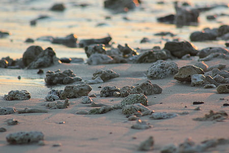 모래, 바위, 자갈, 비치, 바다