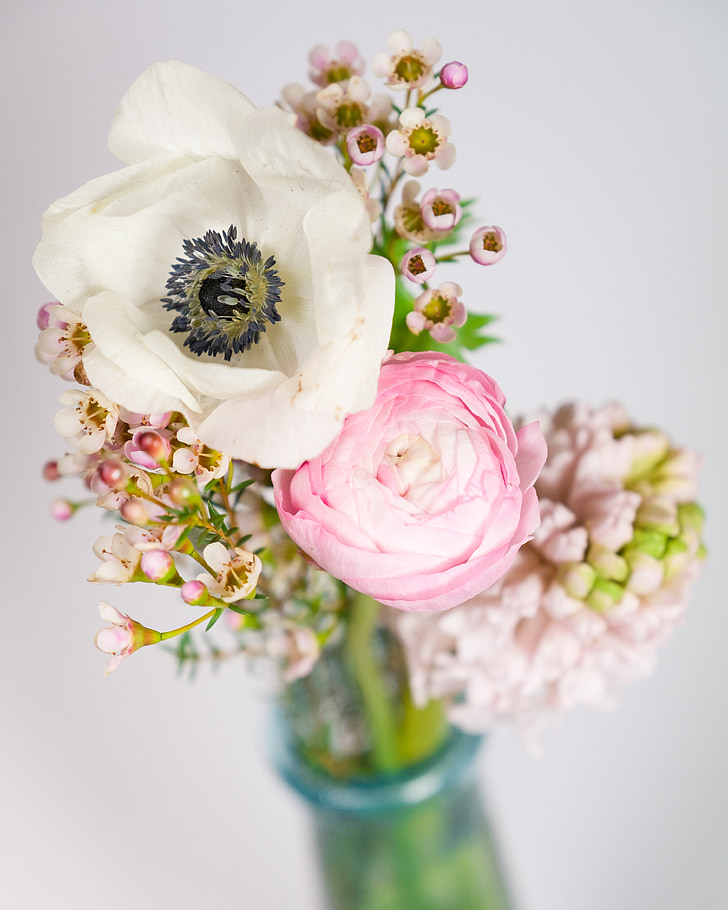 flowers, bouquet, bokeh, anemone, buttercup, hyacinth, pink Color