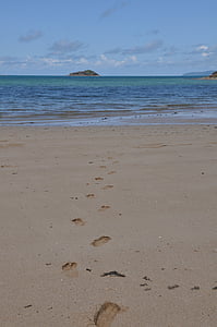 otisci stopala, vode, pijesak, more, otisak stopala, odmor, uz more