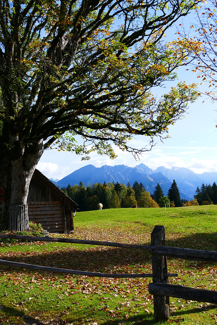 rudens nuotaika, kalnai, rudenį, Alpių, kraštovaizdžio, Gamta, medis