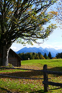 efterårs stemning, bjerge, efterår, Alpine, landskab, natur, træ