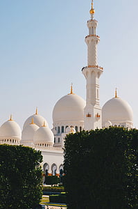 Moschea, musulmano, religione, preghiera, piante, giardino, Torre
