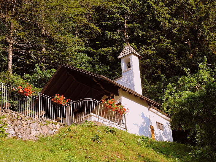 Εκκλησία, βουνό, δάσος, πράσινο, λουλούδια, Campanile, revolto