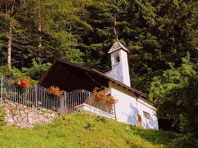 l'església, muntanya, bosc, verd, flors, Campanile, revolto