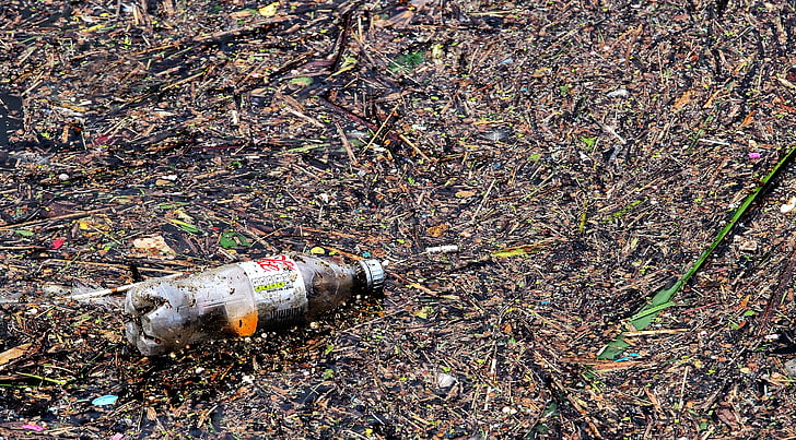 bottle, waste, pollution, garbage, litter, eyesore, discarded