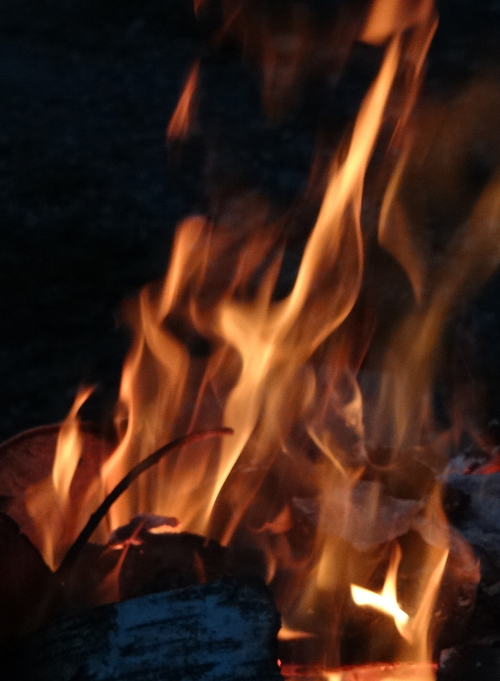 огън, пламък, дървен материал, граница