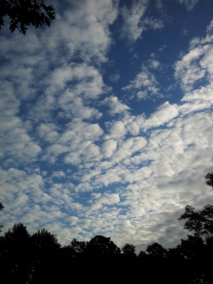 debesis, mākoņi, zila, cloudscape, gaisa, debesis, debesīs.