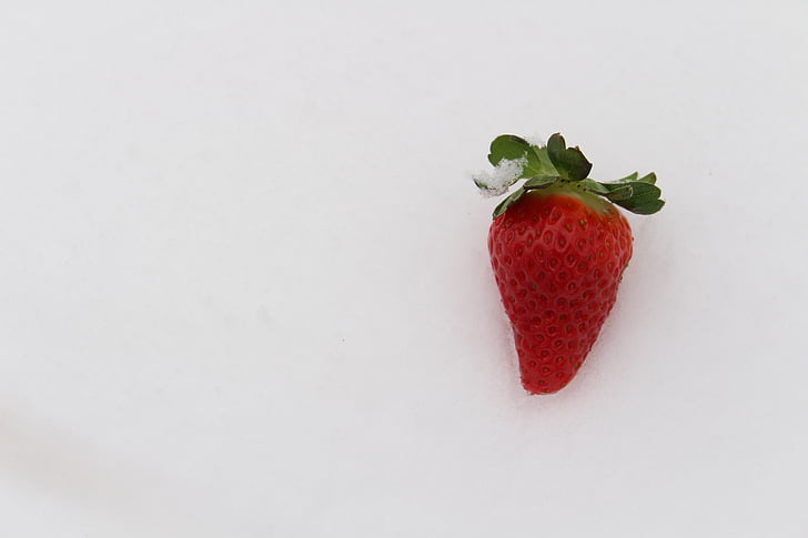 strawberry in the snow, strawberry, winter