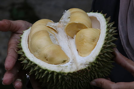 durian, king of fruit, exotic fruit
