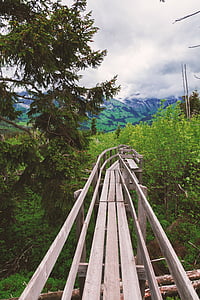 switzerland, hiking, nature, web, bridge, mountains, wood