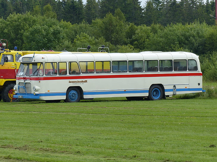 autobuses, antiguo, show de autos, Falköping, colores, hierba, arbustos de