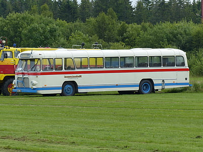 buss, gamle, bil viser, Falköping, farger, gresset, busker