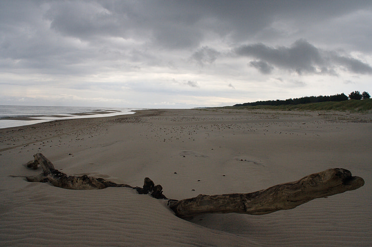 strand, zand, somber, Trist, onvruchtbaar, de kust van de Baltische Zee, Polen