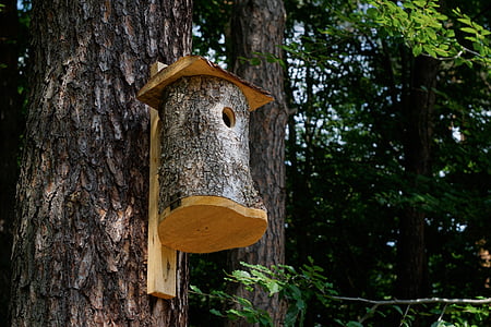 bosc, arbre, estand per a les aus, Birdhouse, nau de cria, l'estiu, natura