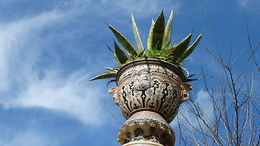 vaso de flor, planta, decoração, cerâmica, colorido, cremalheira de planta