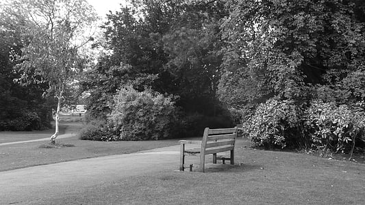bench, promenade, park, black, white, background, trees